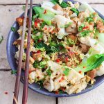 Thai Chicken Noodles - Kuay Tiew Kua Gai