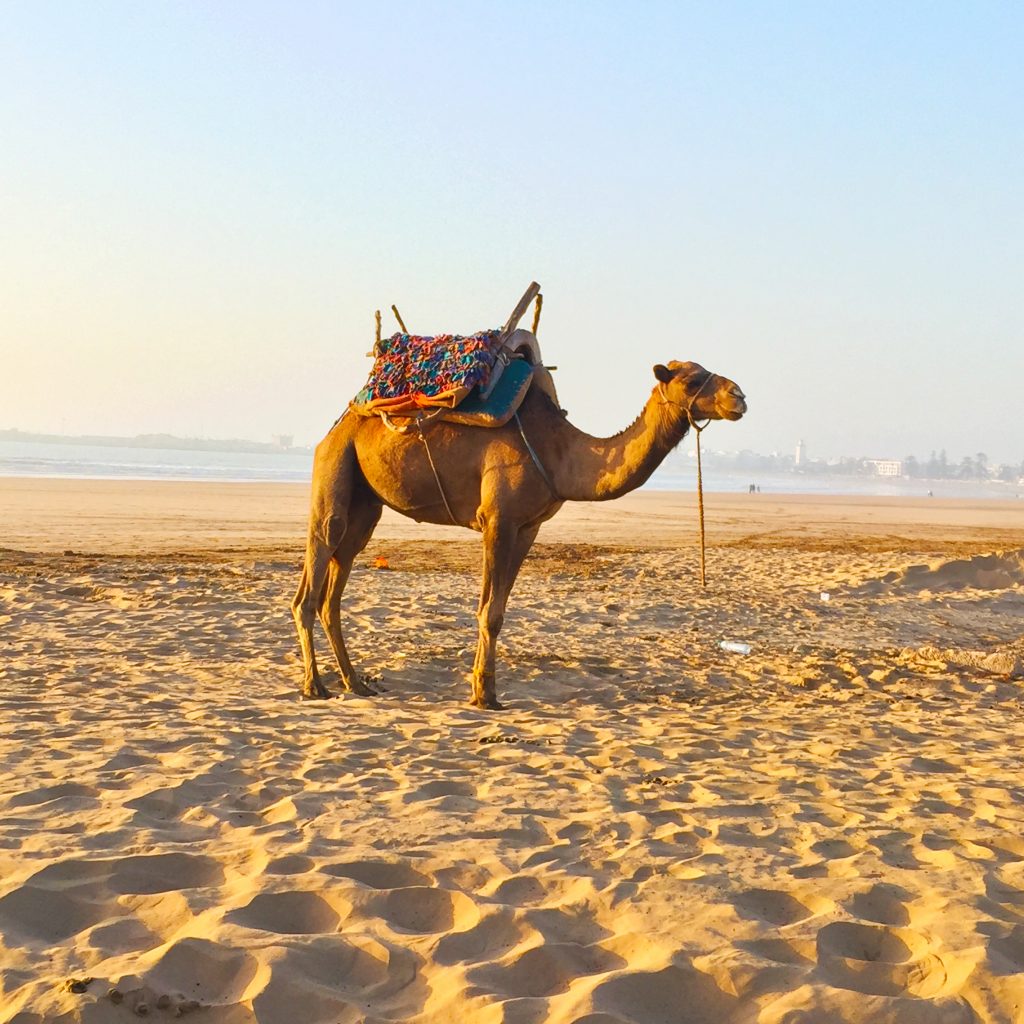 beach morocco