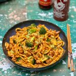 Easy Udon Chicken Noodles