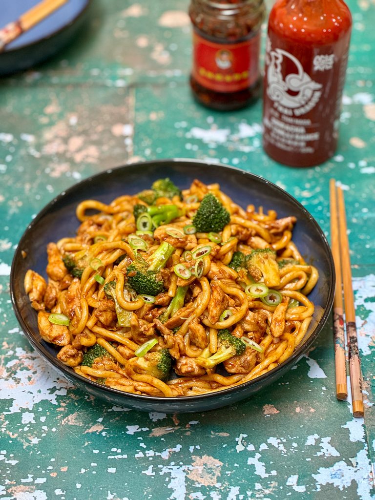 Easy Udon Chicken Noodles